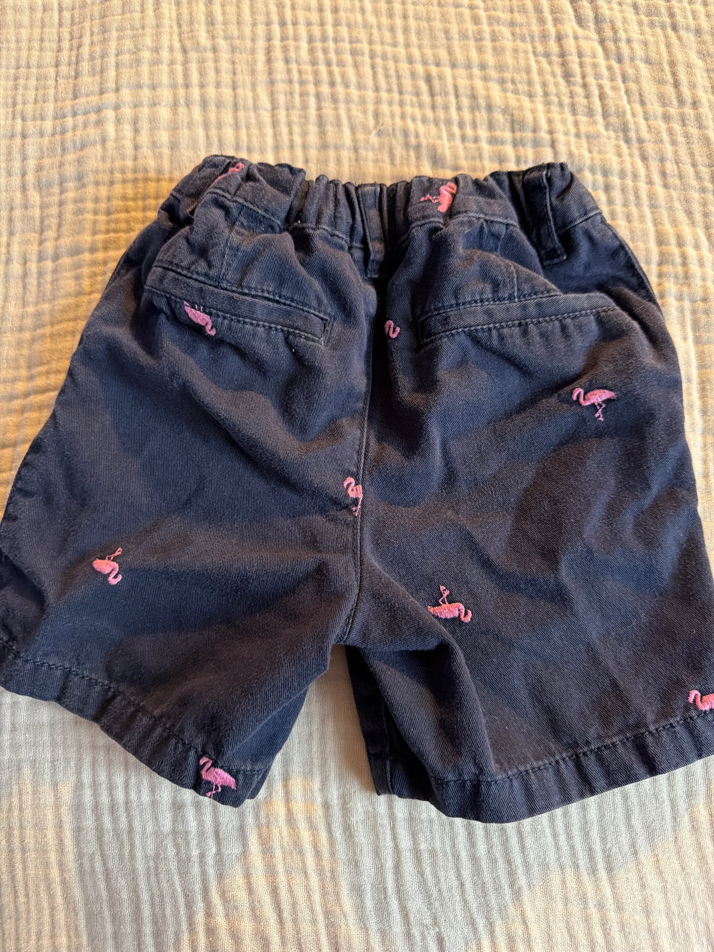 Culotte courte 2T