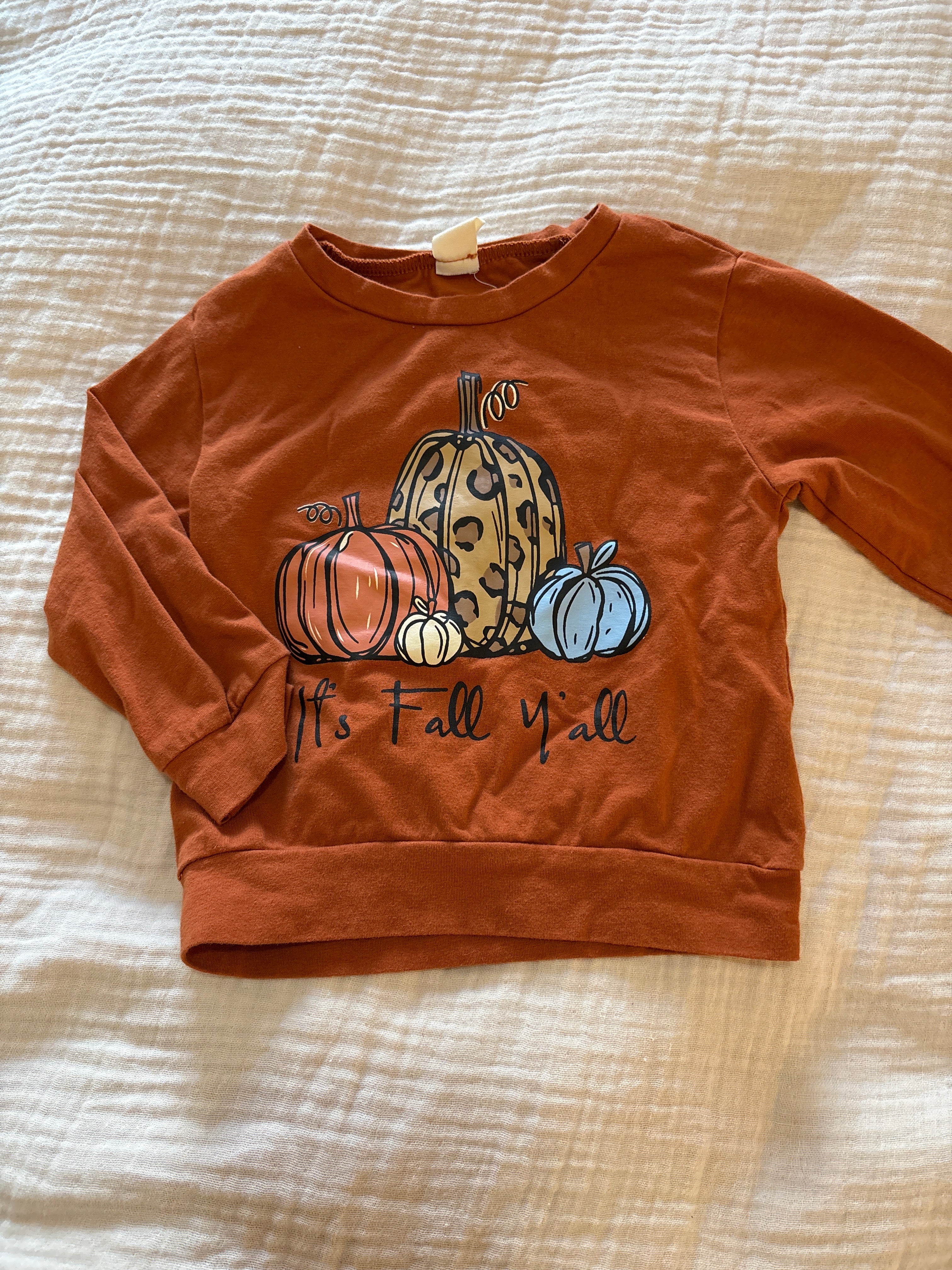 Chandail manche longue 2T